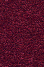 Ковролин AW Devotion 10 фото 1 | FLOORDEALER